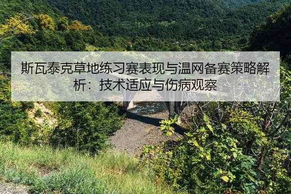 si-wa-tai-ke-cao-di-lian-xi-sai-biao-xian-yu-wen-wang-bei-sai-ce-lve-jie-xi-ji-shu-shi-ying-yu-shang-bing-guan-cha-2-436.jpg